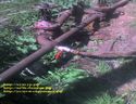 Сварка и монтаж водопровода в мичуринском саду